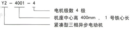 YR系列(H355-1000)高压Y5008-12/355KW三相异步电机西安西玛电机型号说明